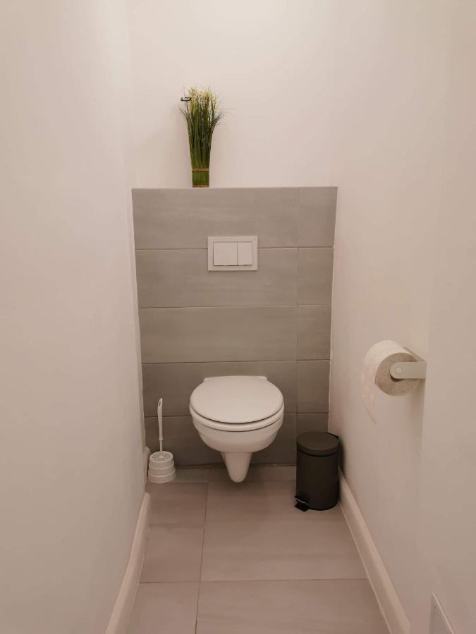 Central Accommodation Temeşvar Dış mekan fotoğraf